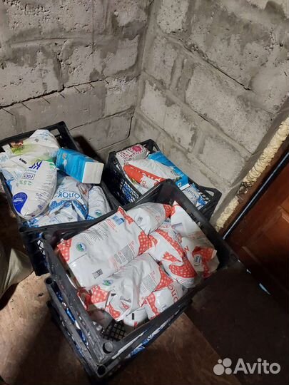 Молоко на корм животным