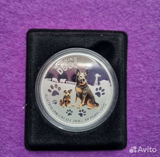Монета Австралийская пастушья собака