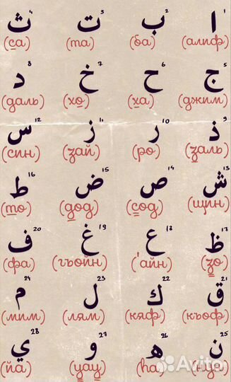 Репетитор по арабскому языку