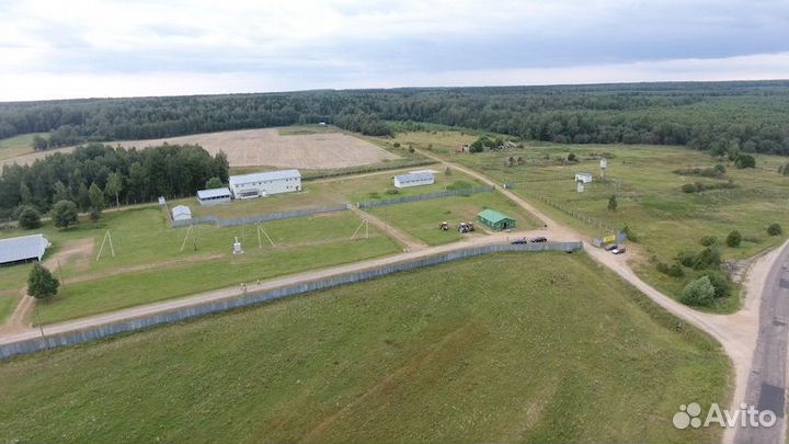 Готовый бизнес по выращиванию овец