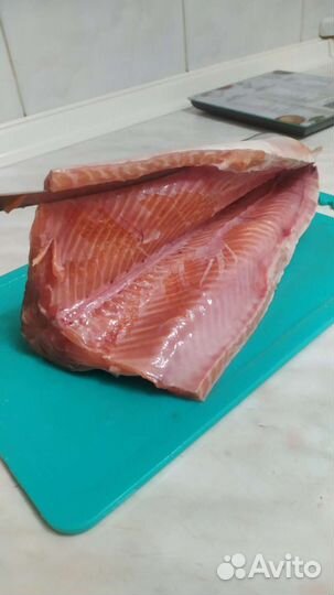 Рыба Голец (с икрой, свежая)