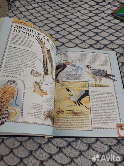 Большая энциклопедия животного мира