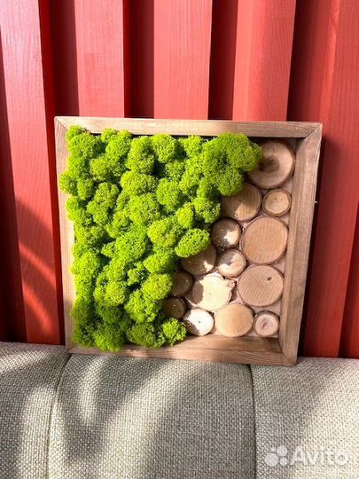 Фитокартина, стабилизированный мох