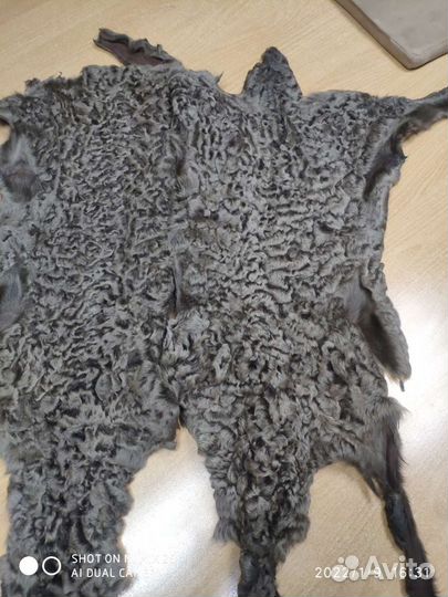 Бухарский каракуль