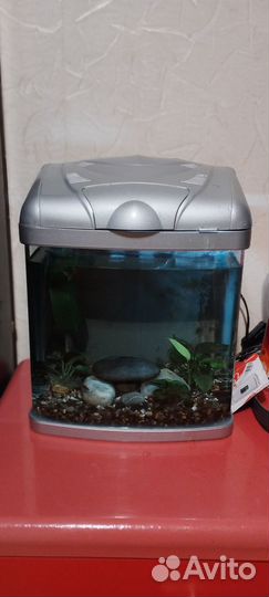 Аквариум с рыбками