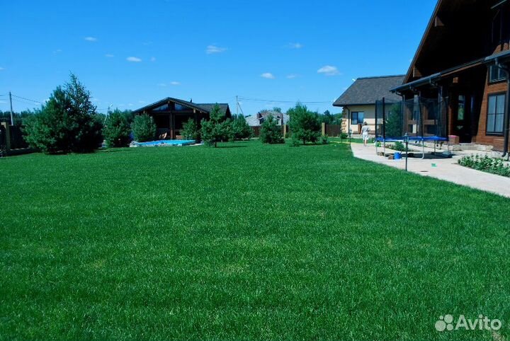 Газон рулонный’Эталон’ Татарстан