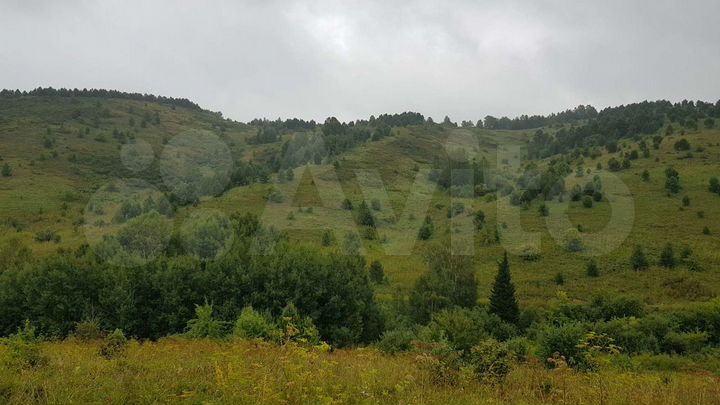 Участок 2 га (СНТ, ДНП)