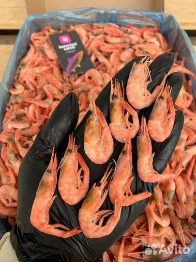 Креветки Северные