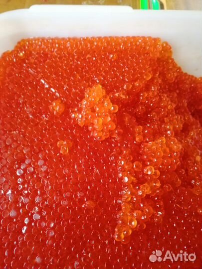 Красная икра горбуши