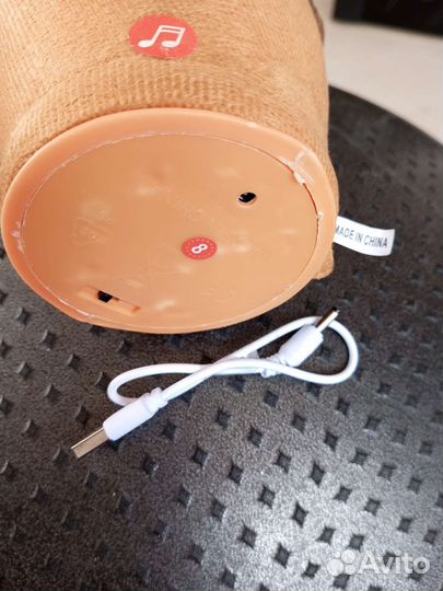 Танцующий кактус новый