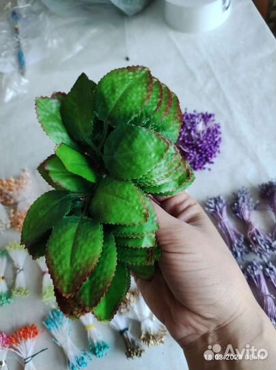 Тычинки, листья