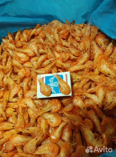 Креветки в Москве и мо
