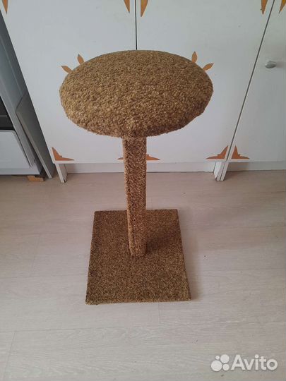 Когтеточка