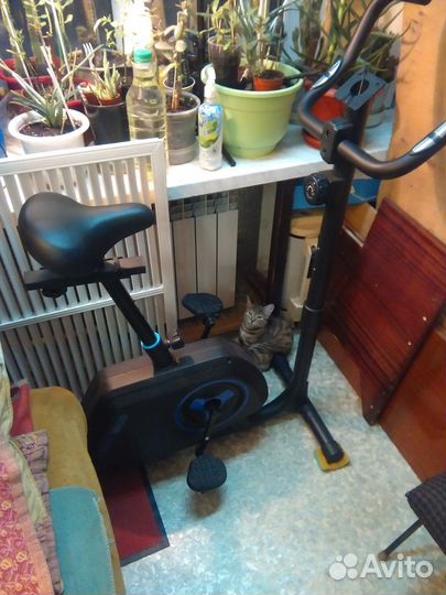 EVO fitness Велотренажер Ametist магнитный и (моде