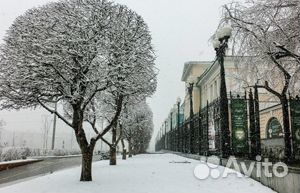 21 ноя.23 Экскурс по Екатеринбургу 1чел/ту3009.01