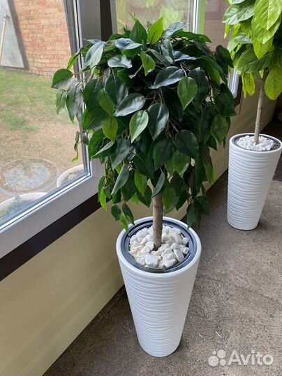 Искусственные цветы