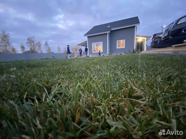 Рулонный газон премиального качества