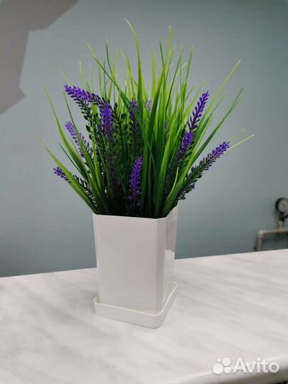 Цветы в горшке