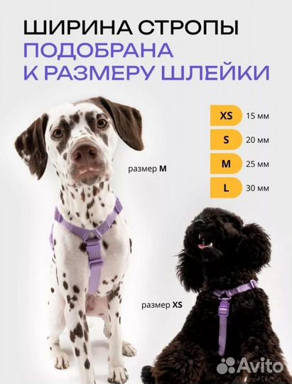 Шлейка pro comfort xs