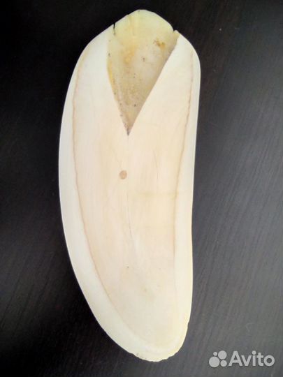 Резьба по кости, статуэтка из зуба кита