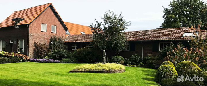 Укладка и продажа рулонного газона