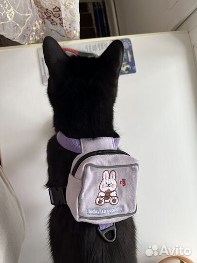 Шлейка-рюкзак для кошек и собак