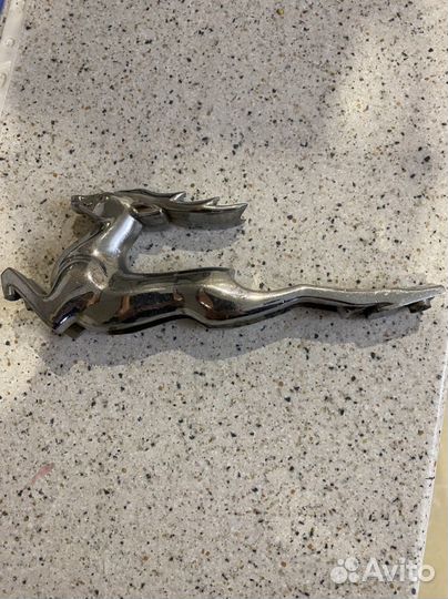 Олень на волгу 21