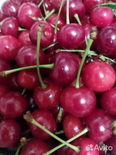 Варенье:черевишня,черешня,абрикос,слива,инжир,гр