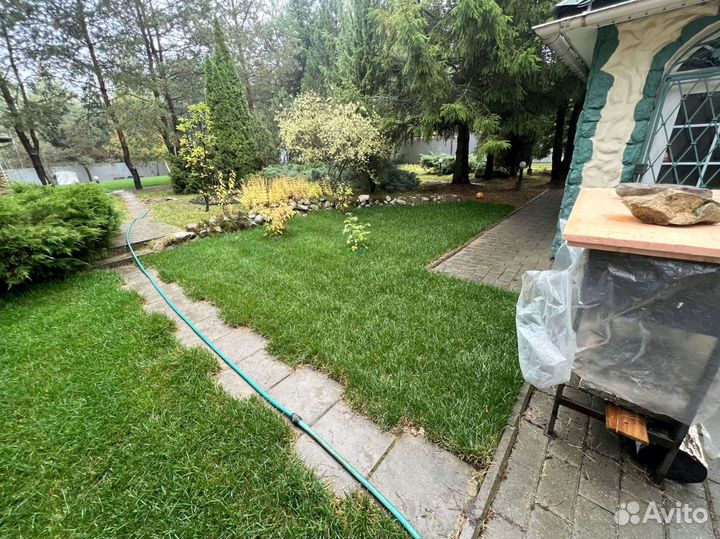 Рулонный газон. Работа по проекту