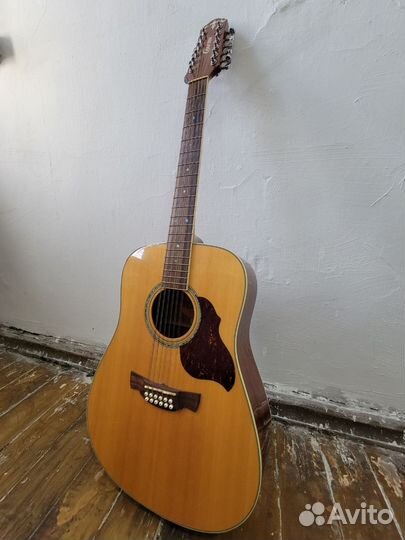 12 струнная гитара