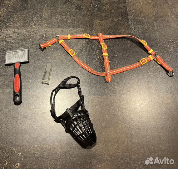 Товары для животных шлейка намордник одежда