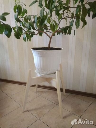 Подставка для комнатных растений