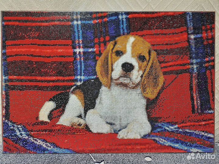 Алмазная мозаика - картина по фото