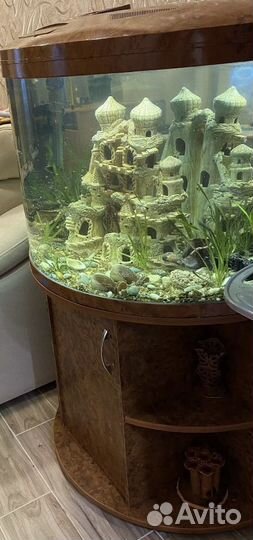 Аквариум jebo r 790 с тумбой 170 литров