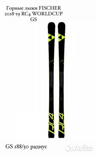 Горные лыжи fischer Rase,Rc4 GS,FIS 2019