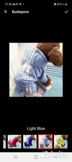 Вещи для маленьких собак