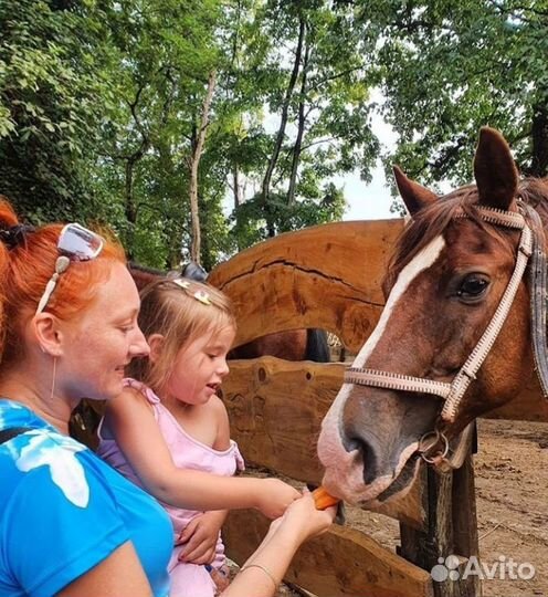 Конные прогулки