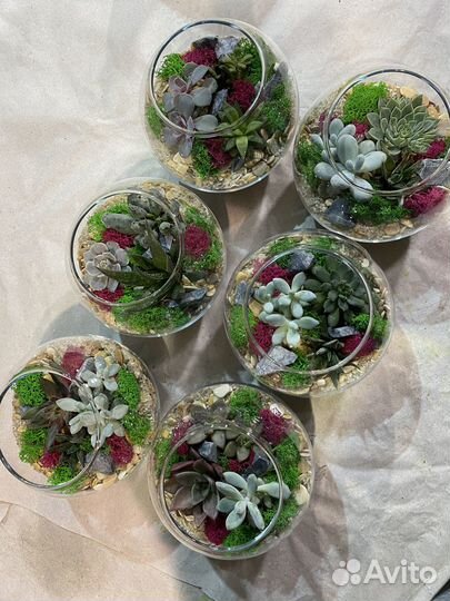 Флорариум шар