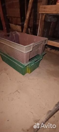 Лоток под овощи