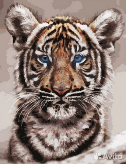 Картина по номерам 40x50 Портрет тигренка