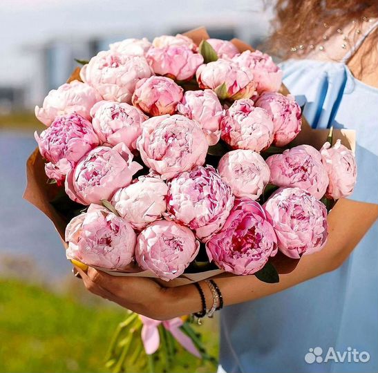 Пионы Букет пионов