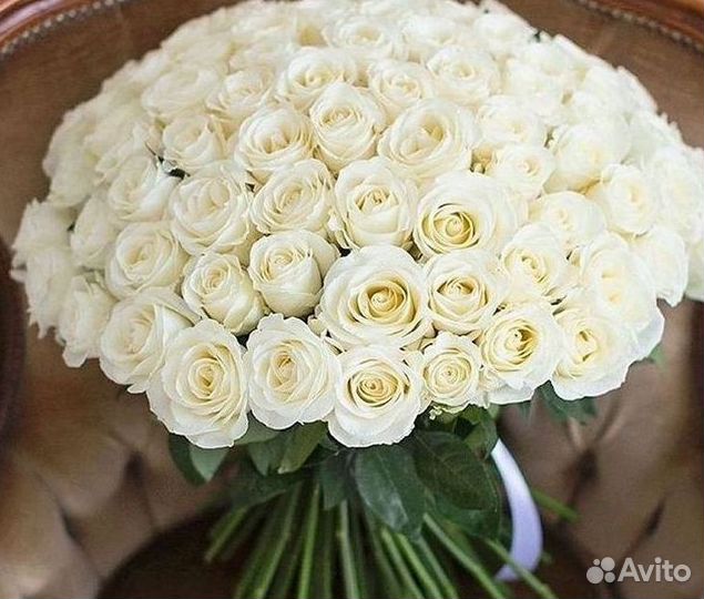 101 роза цветы букеты доставка 25 51 101 роза