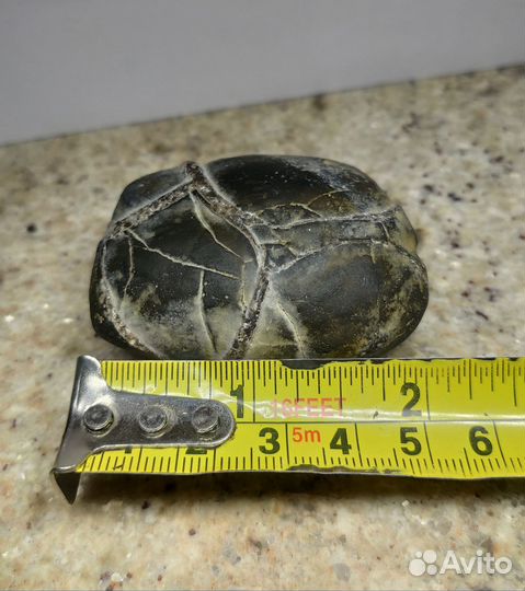 Септария природный камень