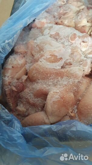 Бедро куриное