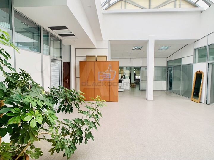 Офис 550 м2 на Цветном бульваре