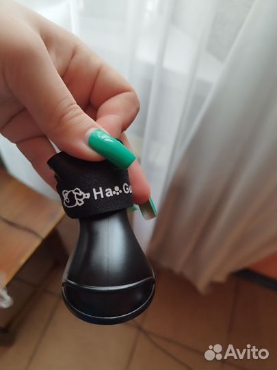 Ботинки для собак