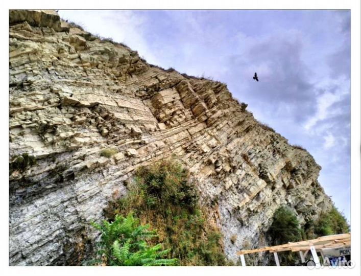 Свадебный фотограф, фотосъемка love story