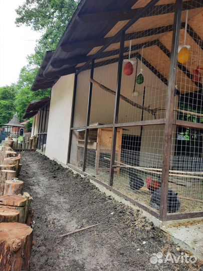 Экскурсия Анапа Новороссийск Темрюк