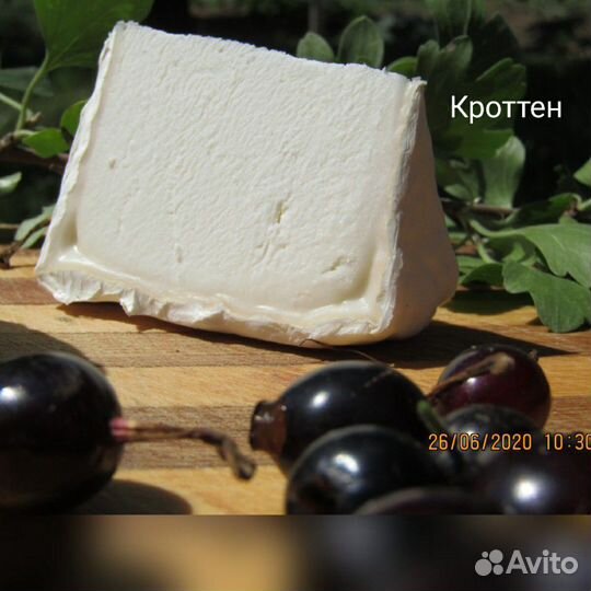 Крафтовые сыры из козьего молока