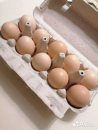 Домашний крупный картофель